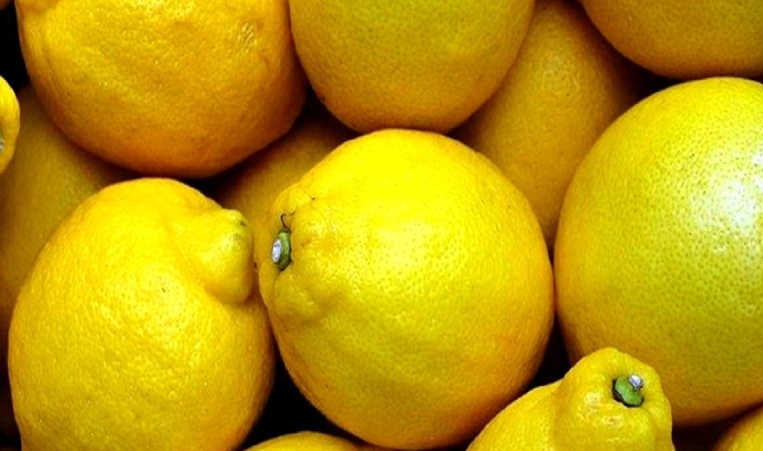 Ticaret Bakanlığı, limon ihracatı ile ilgili yeni duyurular yaptı. İhracat