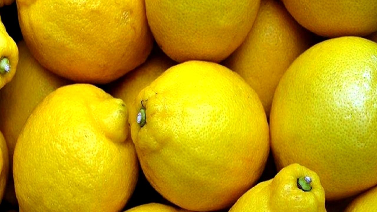 Ticaret Bakanlığı, limon ihracatı ile ilgili yeni duyurular yaptı. İhracat