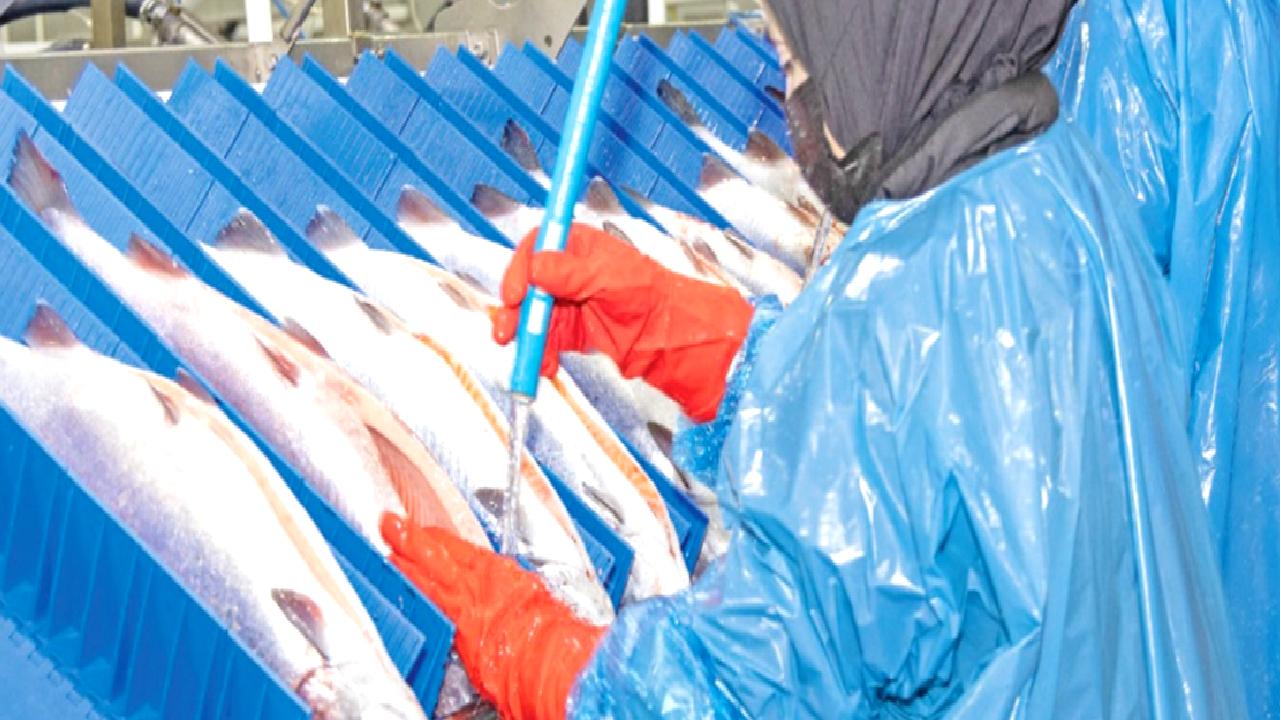 Türkiye'de balık tüketiminin artışında sürdürülebilirlik ve yenilikçi yaklaşımların rolünü keşfedin.