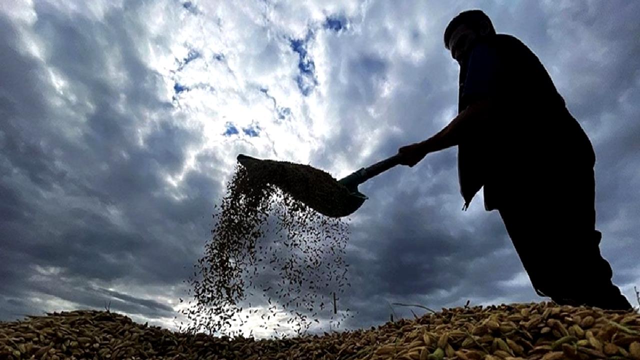 Türkiye'de tarımın geleceği, genç çiftçi sorunu ve çözüm önerileriyle ele