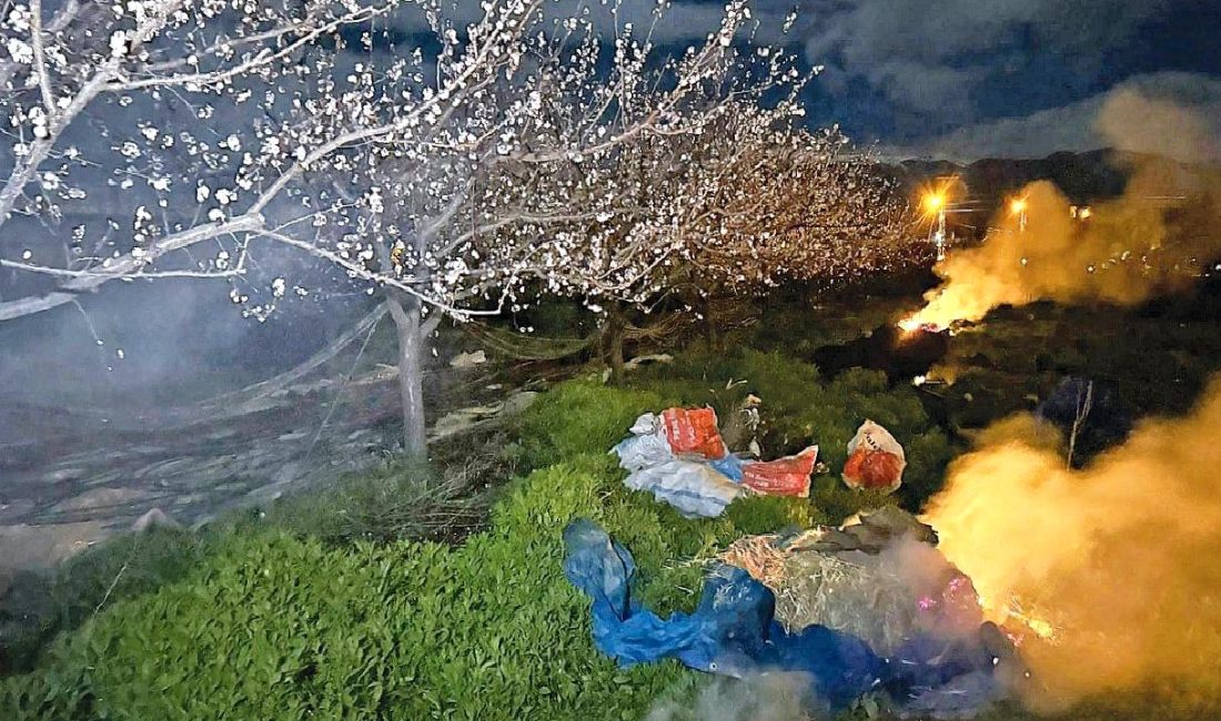 Türkiye'de zirai don olayı, tarımda ciddi hasar ve ekonomik etkileriyle