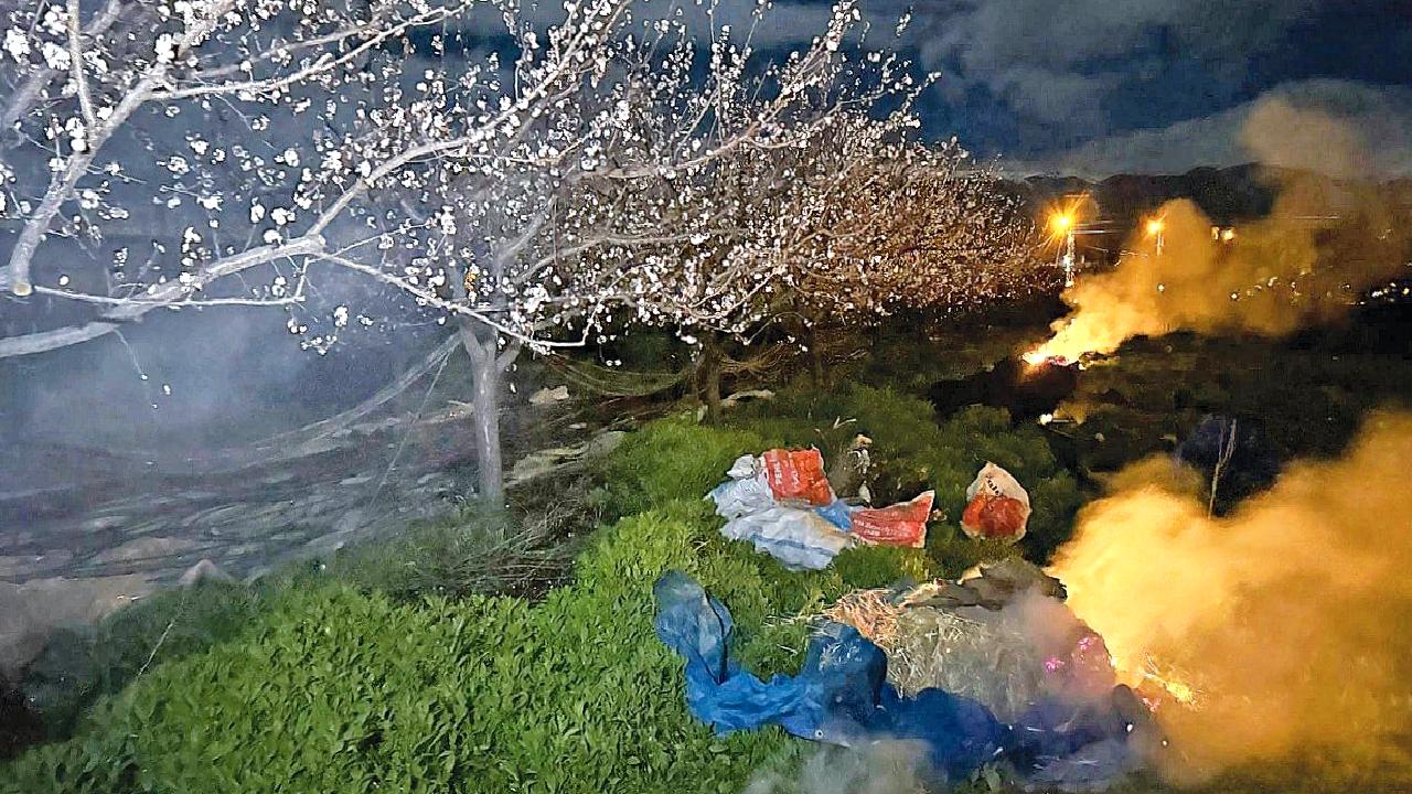 Türkiye'de zirai don olayı, tarımda ciddi hasar ve ekonomik etkileriyle