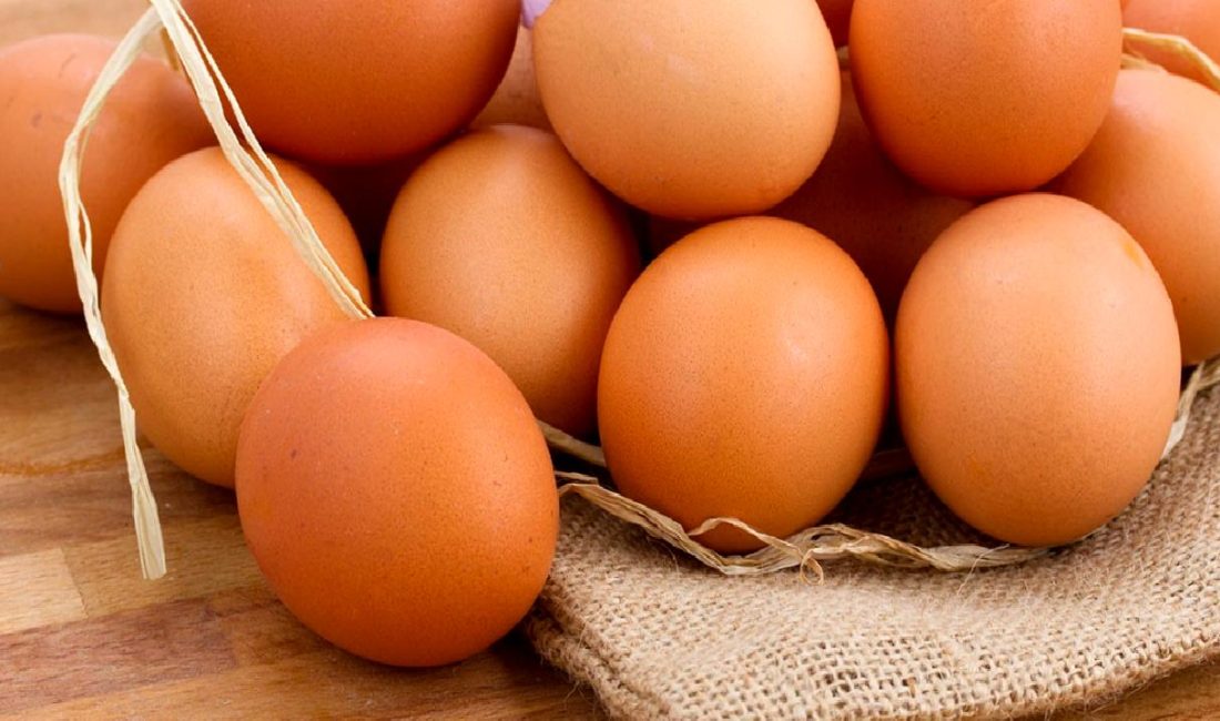 Türkiye'nin 2025 yumurta hedefleri ve piyasa durumu hakkında detaylı bilgi.