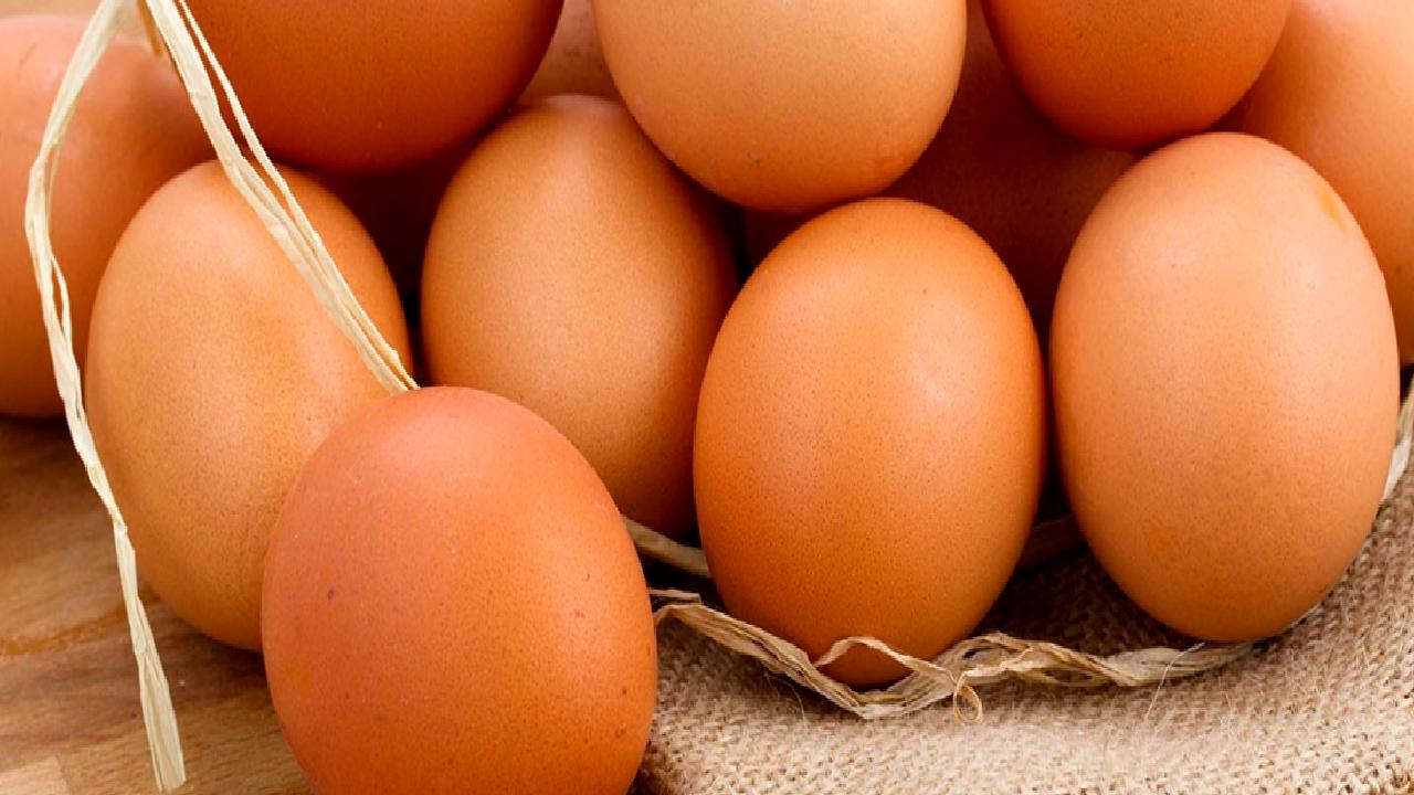 Yumurta fiyatlarındaki dalgalanmalar ve piyasa düzenlemelerini inceleyen bu içerik, sektörün