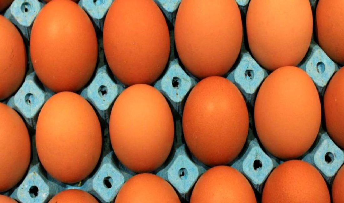 Yumurta Fiyatlarındaki Süregelen Artış ve Alternatif Çözümler Yumurta fiyatlarındaki artışa karşı alternatif çözümler ve güncel gelişmeler hakkında