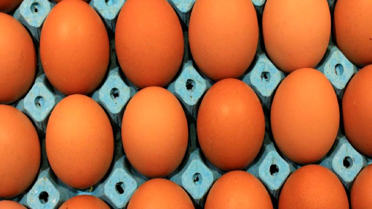 Yumurta fiyatlarındaki artışa karşı alternatif çözümler ve güncel gelişmeler hakkında