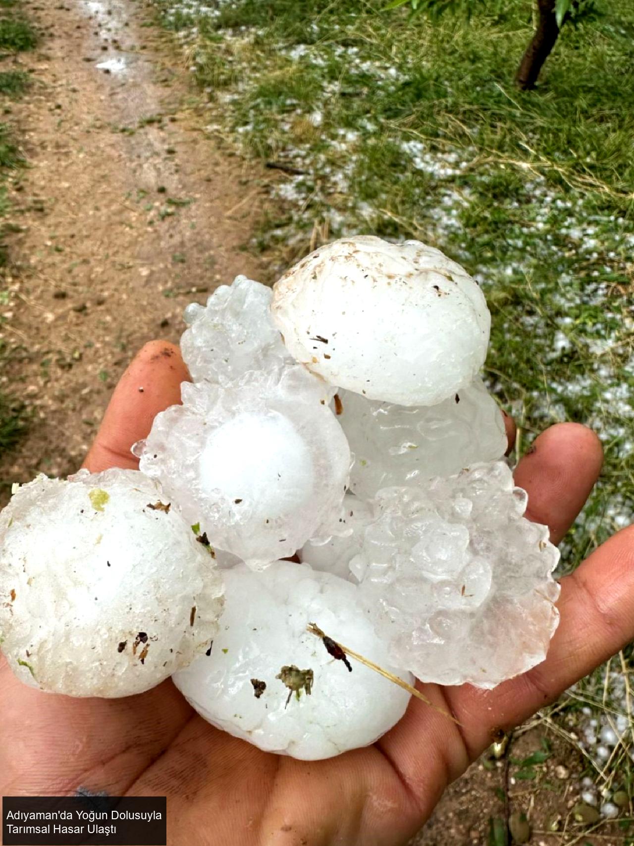 Adıyaman'ın Tarım Alanlarını Vuran Şiddetli Dolu Yağışı