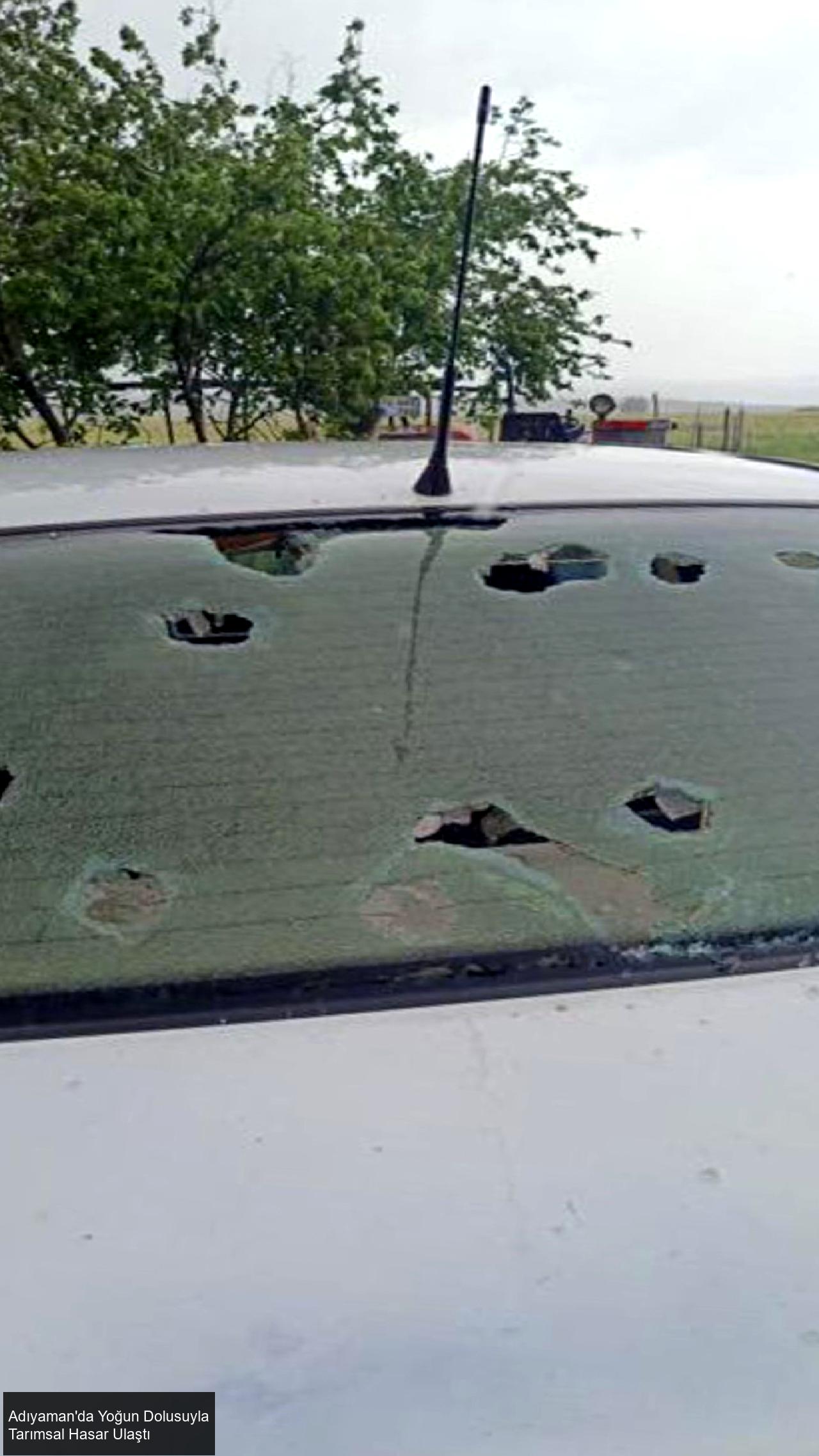 Yetkililer ve Kamu Kurumlarının Hızlı Müdahalesi