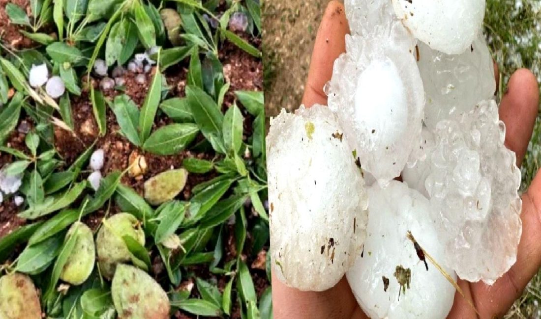 Adıyaman'da yoğun dolu nedeniyle tarımsal hasar büyük ölçüde zarar gördü.