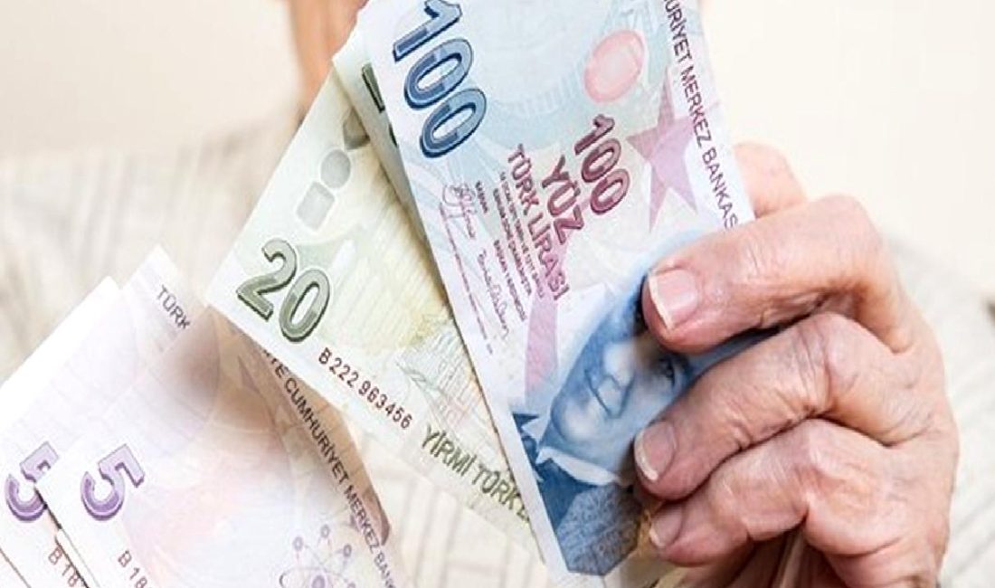 Fiili Hizmet Süresi Zammı Kapsamından Çıkarılan Meslek Grupları ve Resmi Düzenlemeler Fiili hizmet süresi zammı kapsamından çıkarılan meslek grupları ve resmi