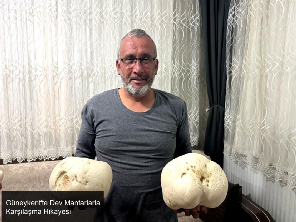 Güneykent beldesi Baladız Mahallesi'nde ilginç bir olay yaşandı.