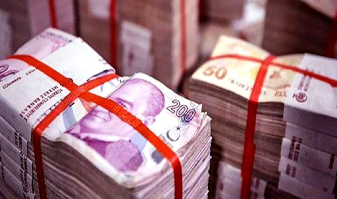 Haziran ayı merkezi bütçe nakit akışları ve detaylarına ilişkin kapsamlı