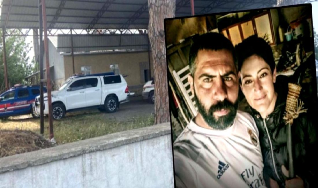 İki Kişi Ağaçta Asılı Bulundu: Olayın Detayları ve Arka Planı İki kişi ağaçta asılı bulundu. Olayın detayları, arka planı ve