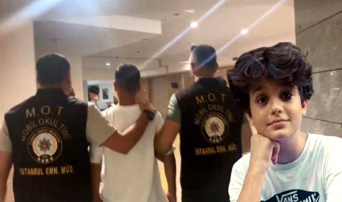 İstanbul'da 24 Ocak'ta yaşanan cinayet ve ardından gelişen olaylar hakkında