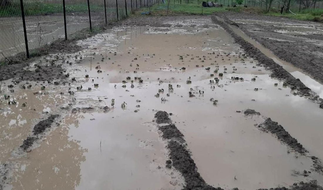 Karabük ve Ovacık'ta sağanak ve dolu etkili oldu. Yağışlar nedeniyle