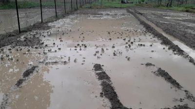 Karabük ve Ovacık'ta sağanak ve dolu etkili oldu. Yağışlar nedeniyle