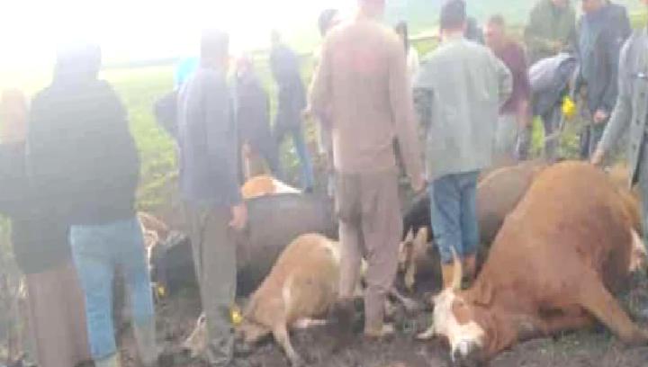 Kars'ta şiddetli sağanak yağmur ve yıldırım felaketi sonrası yaşananlar, etkiler