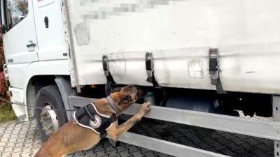 Kocaeli emniyeti uyuşturucu operasyonu gerçekleştirdi. Detaylar ve gelişmeler için haberimizi