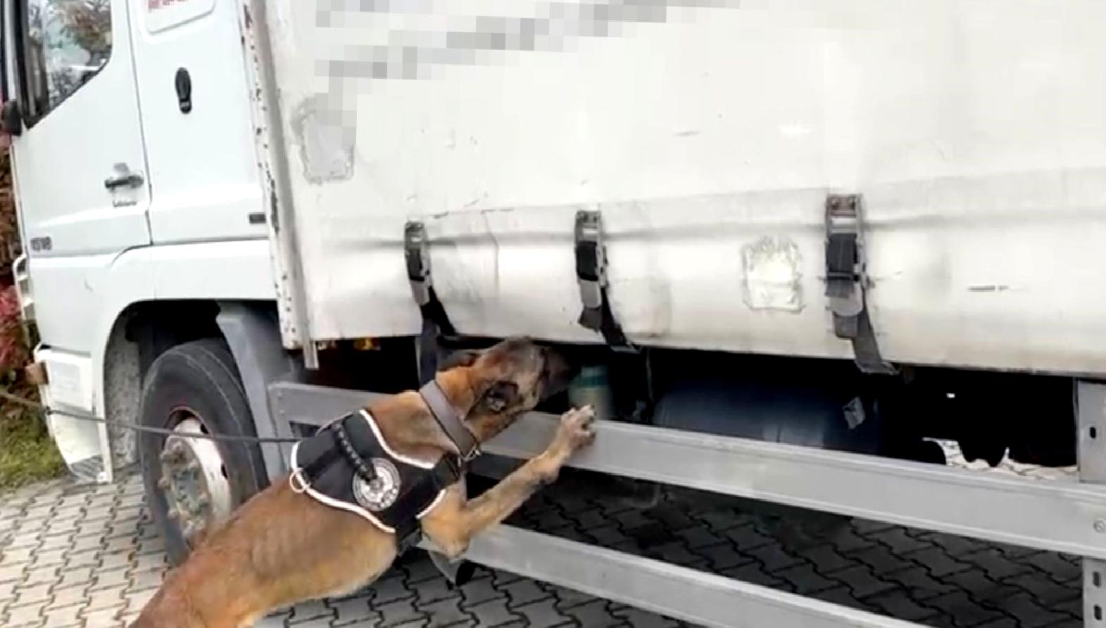 Kocaeli emniyeti uyuşturucu operasyonu gerçekleştirdi. Detaylar ve gelişmeler için haberimizi