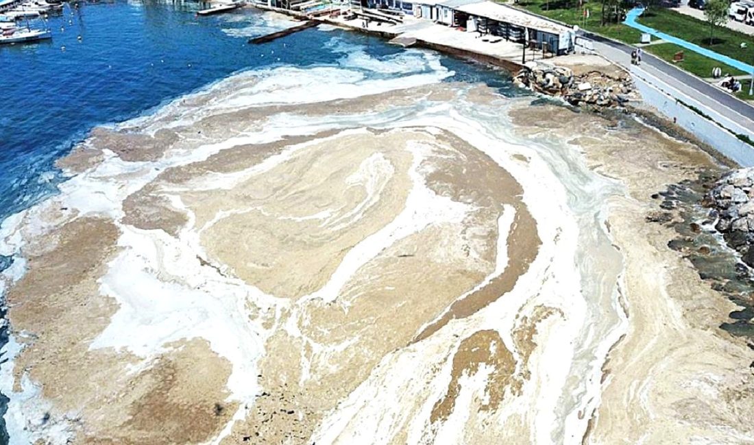 Marmara Denizi’nde Müsilaj Sorunu ve Mücadele Yöntemleri Marmara Denizi'nde müsilaj sorunu, nedenleri ve etkileri ile mücadele yöntemleri