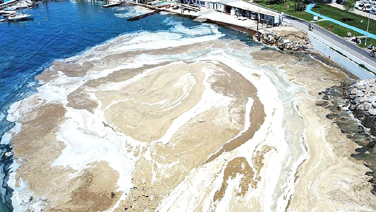 Marmara Denizi'nde müsilaj sorunu, nedenleri ve etkileri ile mücadele yöntemleri