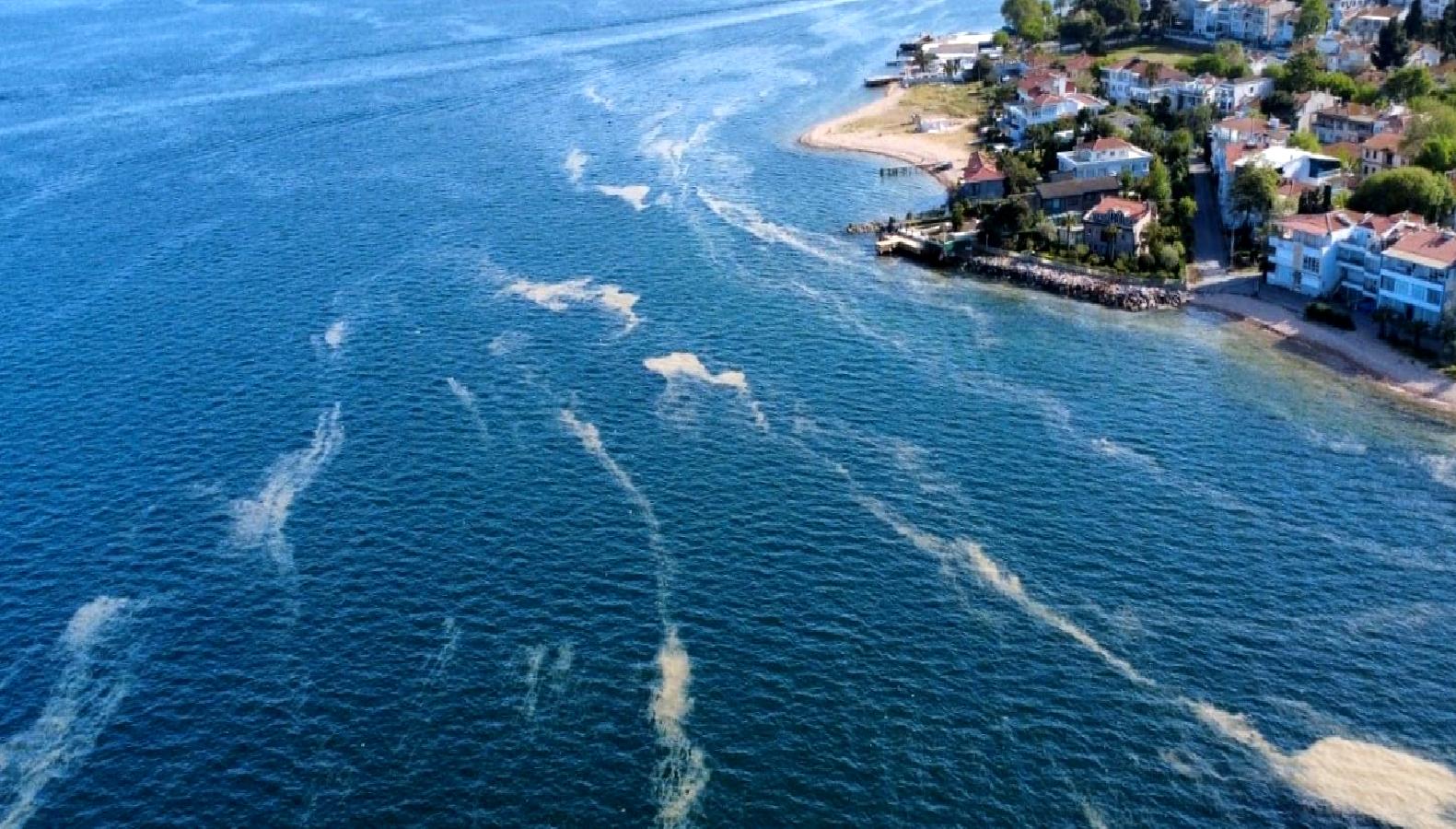 Marmara Denizi'nde müsilaj tehdidi yeniden ortaya çıktı. Ekosistem ve balıkçılığı