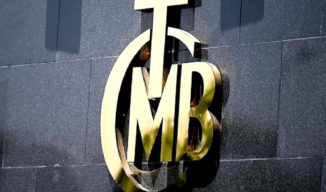 Merkez Bankası'nın yeni yabancı para ve döviz politikaları hakkında en