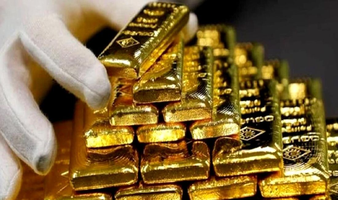 Merkez Bankası'nın altın rezervleri ve güncel durumu hakkında detaylı analiz,