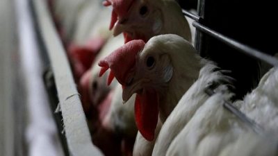 Recep ERÇİN ve Su Ürünleri sektöründeki güncel gelişmeleri, yenilikleri ve