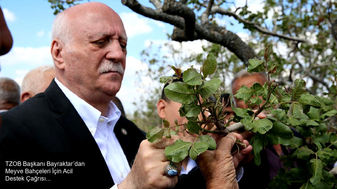 Genel Durum ve Zarar Tespiti