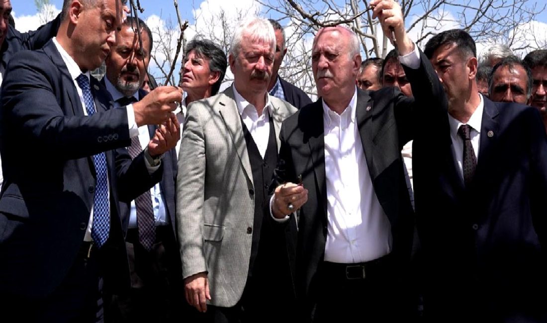 TZOB Başkanı Bayraktar, meyve bahçeleri için acil destek çağrısında bulunarak