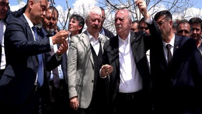 TZOB Başkanı Bayraktar, meyve bahçeleri için acil destek çağrısında bulunarak