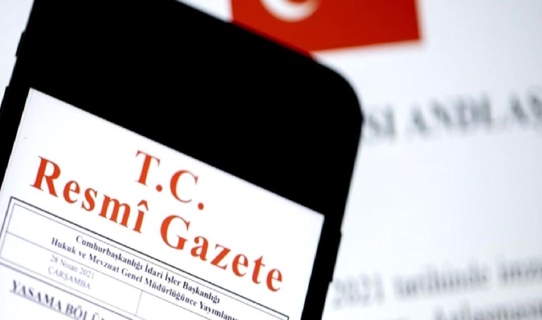 Yürütme ve İdare Bölümü hakkında kapsamlı bilgiler, fonksiyonları ve işleyişiyle