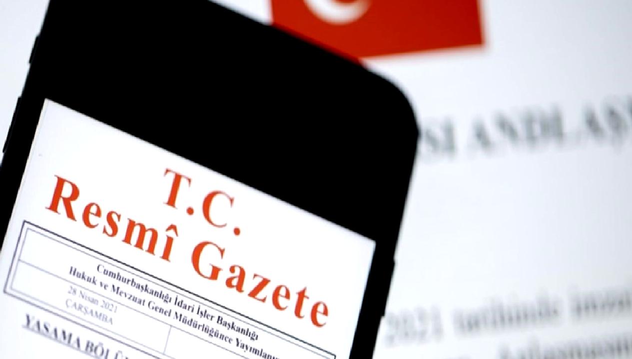 Yürütme ve İdare Bölümü hakkında kapsamlı bilgiler, fonksiyonları ve işleyişiyle