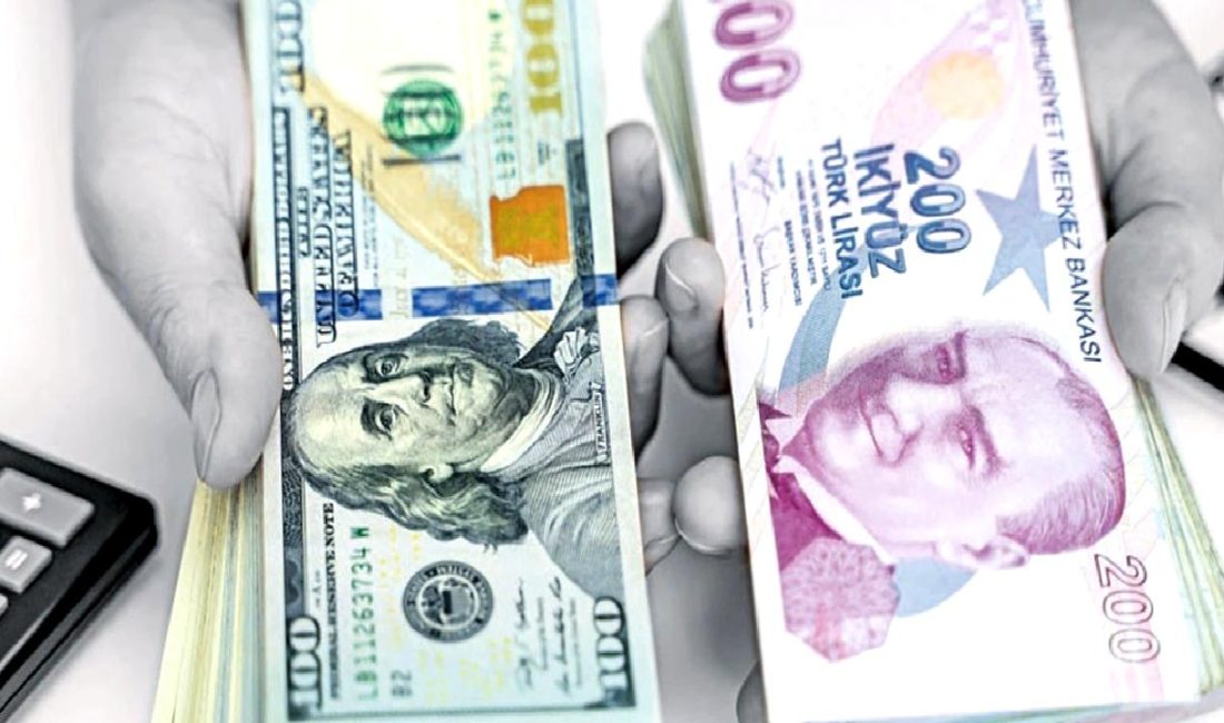 11 Temmuz 2025 güncel döviz kurları ve ekonomik etkileri hakkında