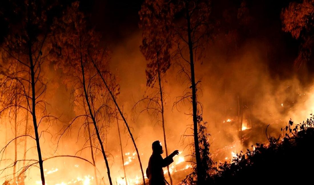 Avrupa'da aşırı sıcaklar ve orman yangınları: Nedenleri, etkileri ve alınacak