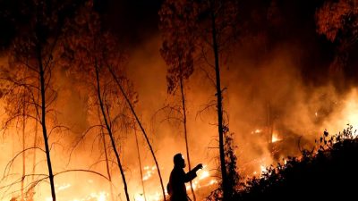 Avrupa'da aşırı sıcaklar ve orman yangınları: Nedenleri, etkileri ve alınacak