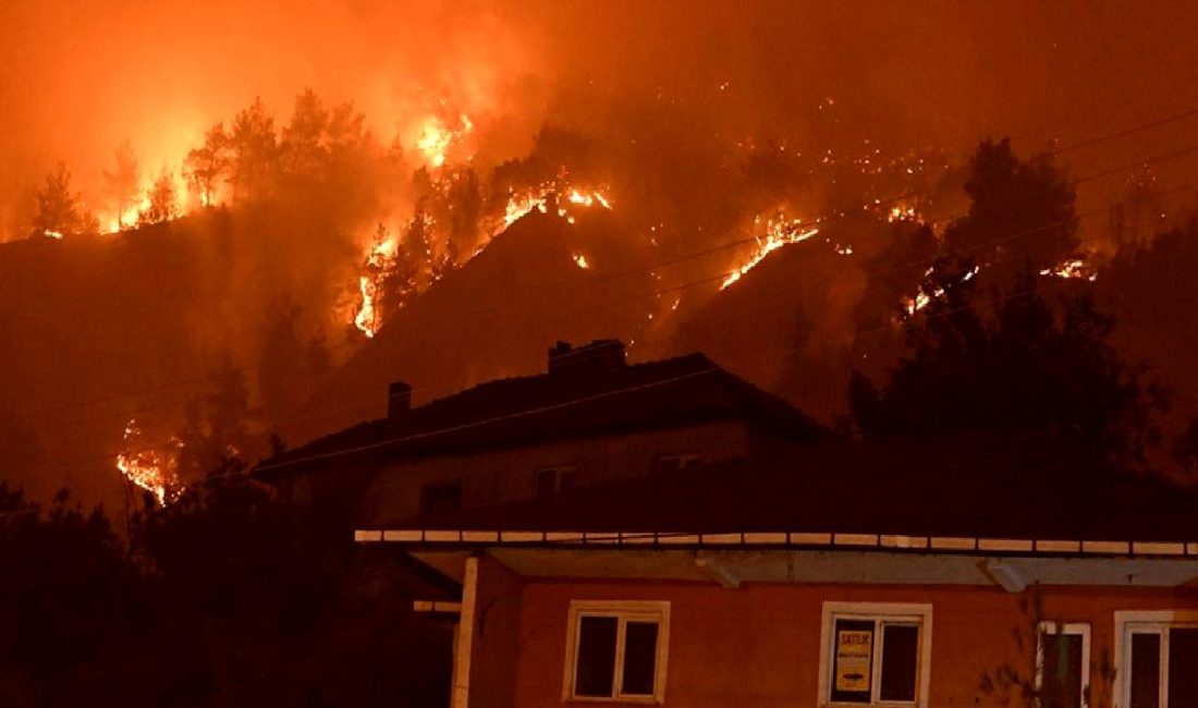 Bakan Bak duyurdu: Yurtlar yangın mağdurlarına açıldı Bakan Bak, yangın mağdurlarına destek için yurtları açıldığını duyurdu. Detaylar