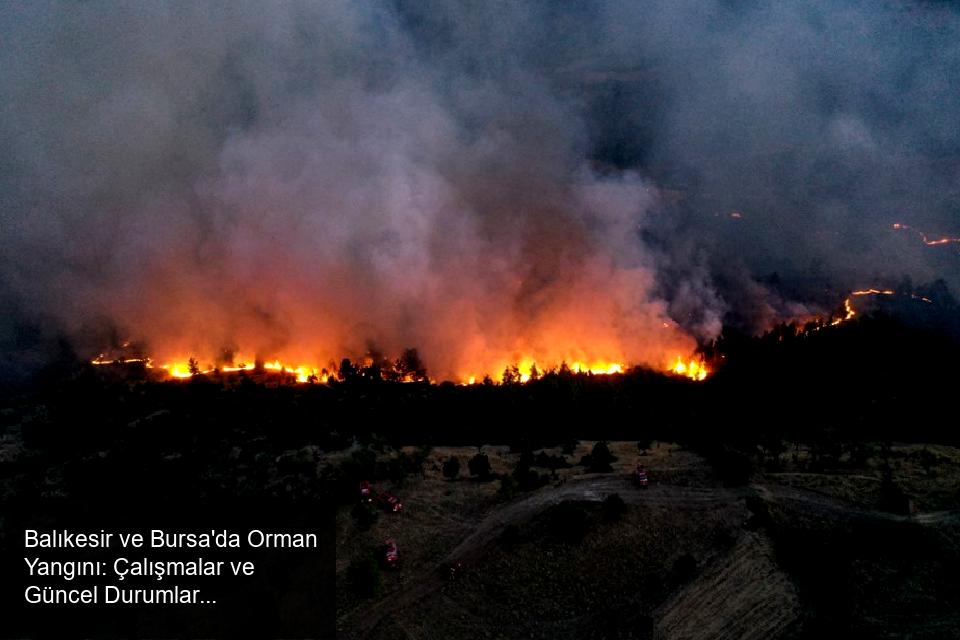 Balıkesir'in Dursunbey ilçesine bağlı Bayıryüzügüney Mahallesi ile Bursa'nın Büyükorhan ilçesine bağlı Düğüncüler köyü çevresinde çıkan orman yangını büyük endişe yaratıyor. Olay yerine hızla sevk edilen Bursa ve Balıkesir Orman Bölge Müdürlüğü ekipleri, yangına müdahale çalışmalarını yoğunlaştırdı.
