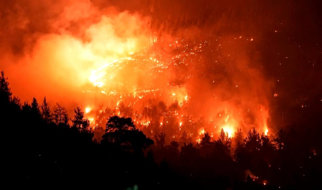 Balıkesir ve Bursa'daki orman yangınlarının güncel durumu, yapılan çalışmalar ve