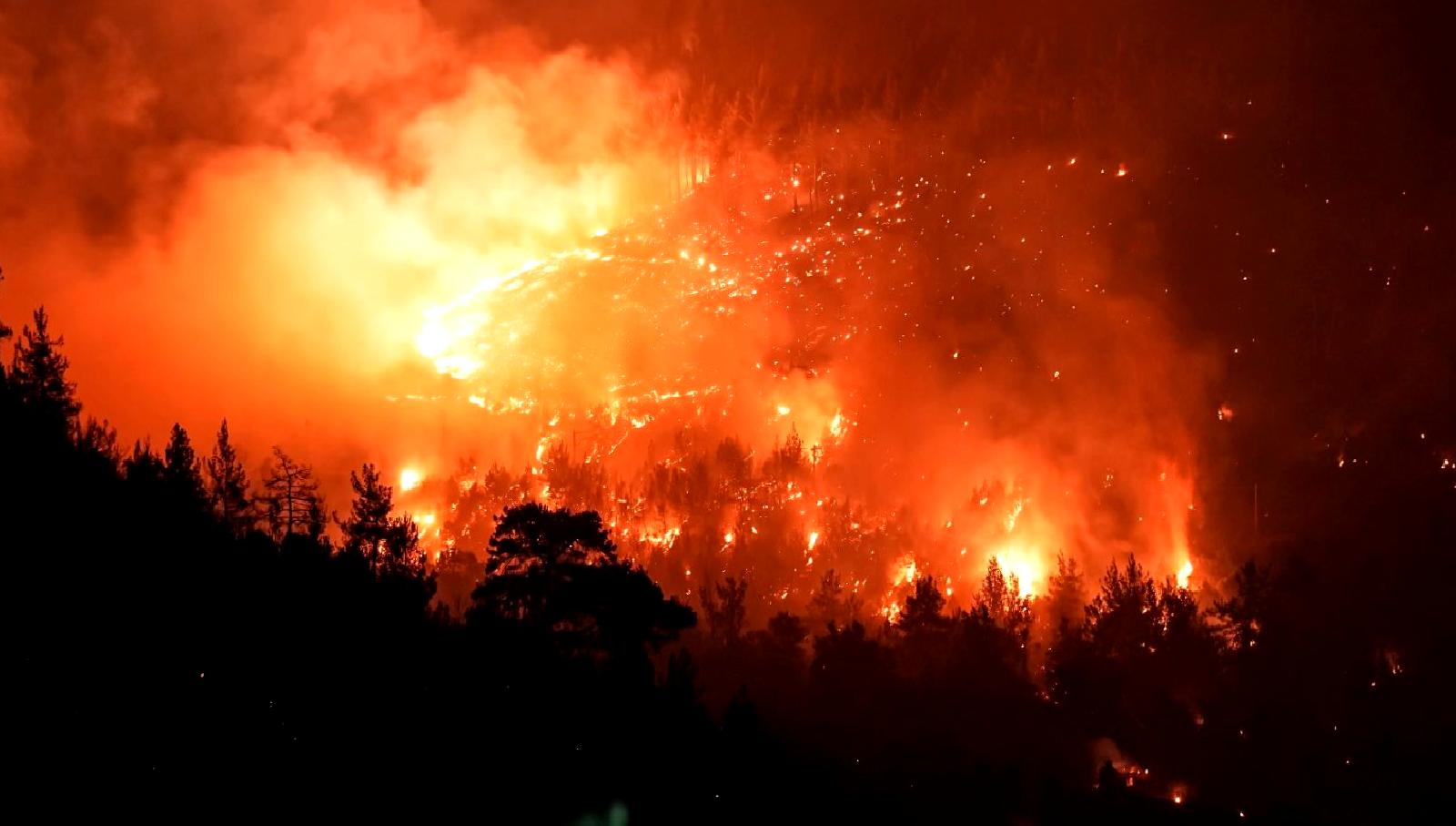 Balıkesir ve Bursa'daki orman yangınlarının güncel durumu, yapılan çalışmalar ve