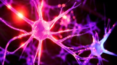 Beyin hafıza kapasitesi ve sınırlarını keşfedin, derinlemesine bilgilerle beyninizin gücünü