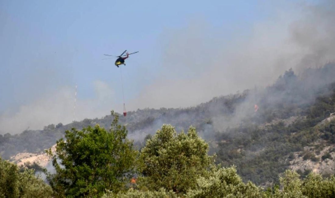Bilecik’te Tarla ve Ormanlık Alanda Yangın Mücadelesi Bilecik'te tarla ve ormanlık alanlarda yangınla mücadele, önleme ve bilinçlendirme