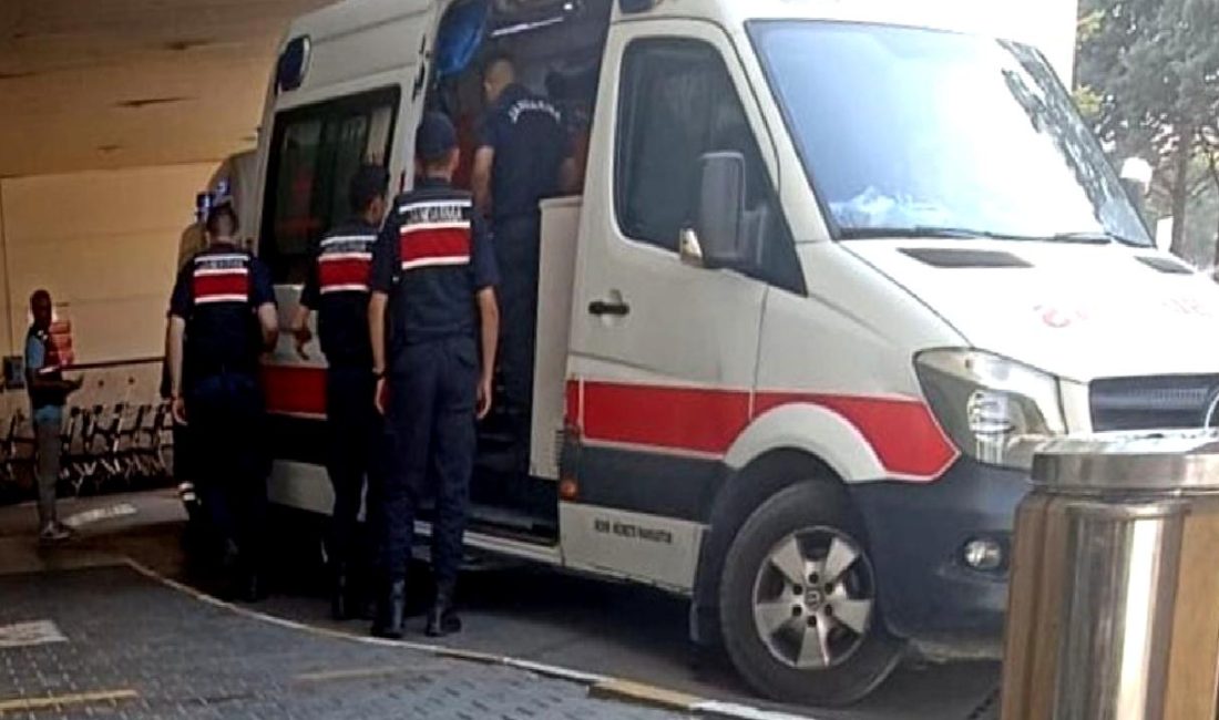 Bolu’da cezaevinde cinayet Bolu Cezaevi'nde yaşanan cinayet olayını detaylı olarak inceleyen haberimiz.