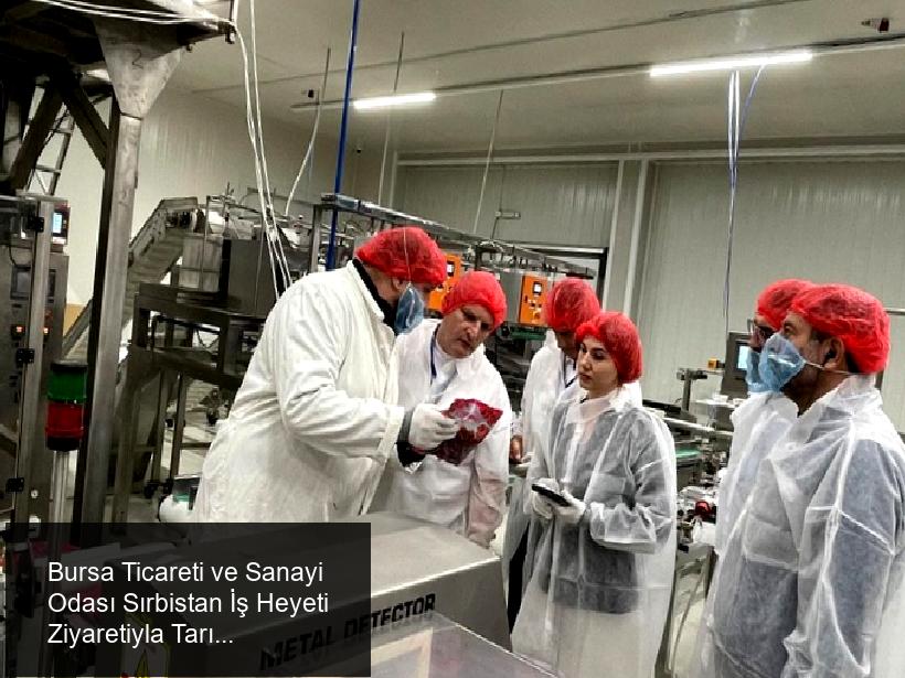 Bursa Ticaret ve Sanayi Odası (BTSO), Uluslararası İş Birliklerini Güçlendirmek ve Katma Değerli Tarım Üretimini Artırmak İçin Sırbistan’a Yönelik Önemli Bir İş Heyeti Ziyareti Gerçekleştirdi