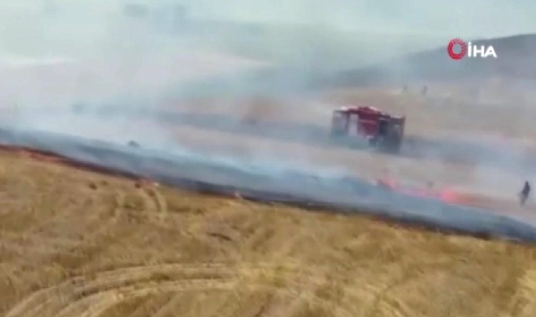 Büyükçekmece’de otluk alanda yangın Büyükçekmece'de otluk alanda çıkan yangınla ilgili son dakika detaylar. İtfaiye