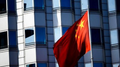 Çin'de klon yak teknolojisiyle gerçekleştirilen yenilikçi tarım başarısı, sürdürülebilirlik ve