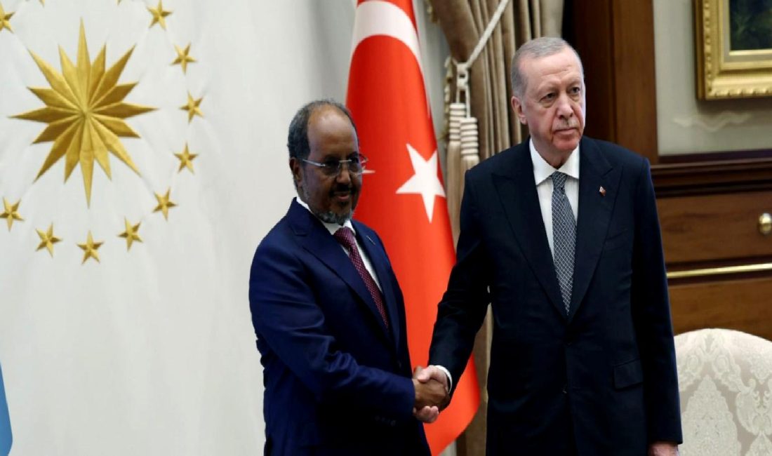 Cumhurbaşkanı Erdoğan ile Somali Cumhurbaşkanı Mahmud'un görüşmesi, iki ülke arasındaki