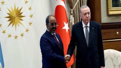 Cumhurbaşkanı Erdoğan ile Somali Cumhurbaşkanı Mahmud'un görüşmesi, iki ülke arasındaki