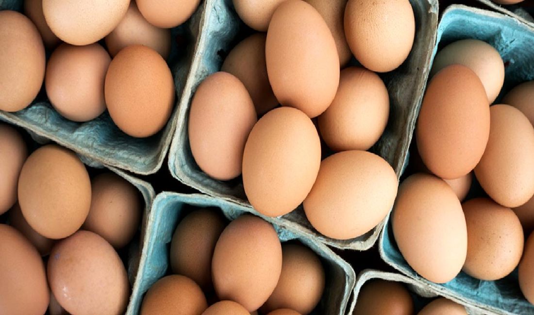 DFİF kesintisi kaldırıldı, yumurta ihracatçıları rahat nefes aldı. Detaylar haberimizde.